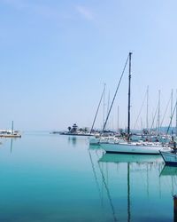 Sailboats in marina