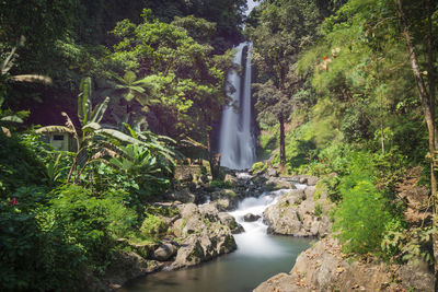 The gitgit waterfall in bali, indonesia