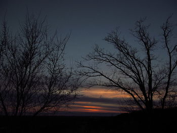 Silhouette trees against sky during sunset