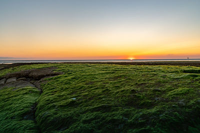 Scenic view of sea against sky during sunset