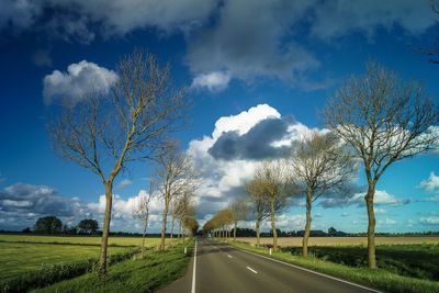 Road by trees on field against sky