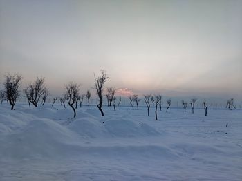 Scenic view of snow covered field against sky