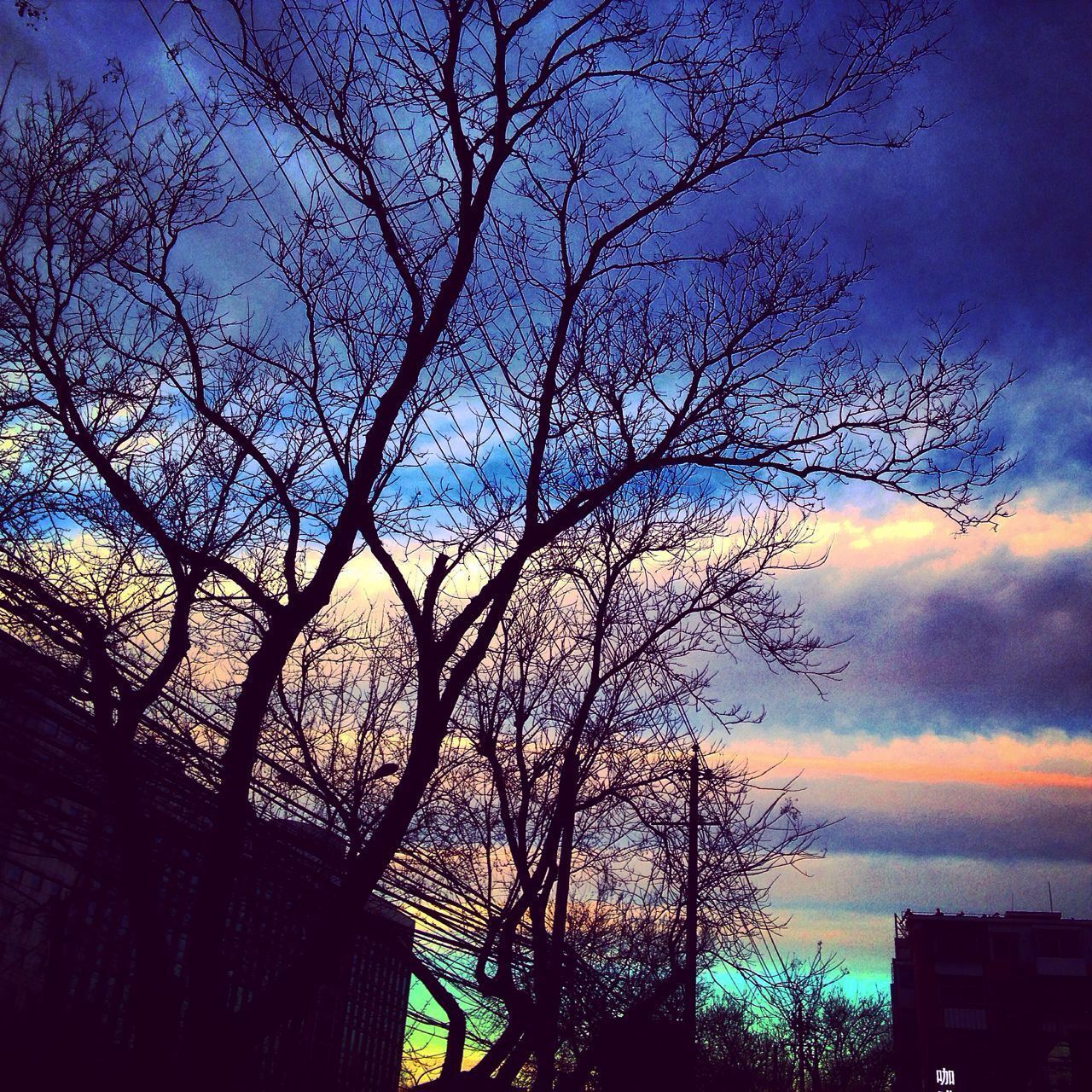 tree, bare tree, silhouette, branch, sky, sunset, low angle view, building exterior, built structure, architecture, cloud - sky, nature, dusk, beauty in nature, scenics, tranquility, cloud, outdoors, no people, orange color