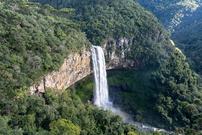 Scenic view of waterfall in forest