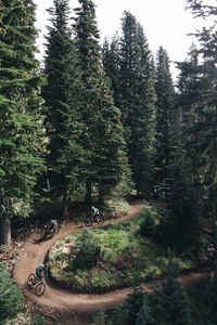 Three bikers ride a trail in a bike park at mt. hood, oregon.