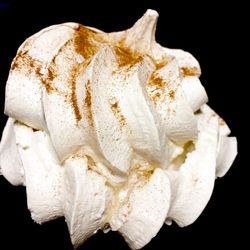 Close-up of white flower against black background