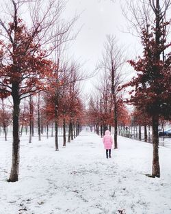 Rear view of person walking on snow covered land