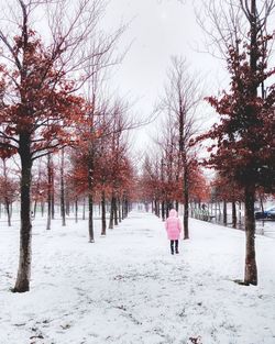 Rear view of person walking on snow covered land