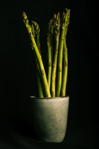 Close-up of vegetables against black background