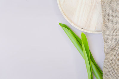 High angle view of vegetables against white background