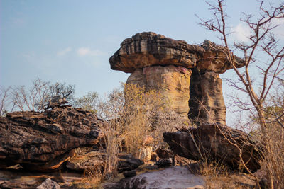 Rock formation amidst trees against sky