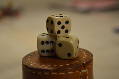 Ready for a game with dice