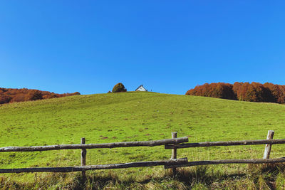 Scenic view of field against clear blue sky