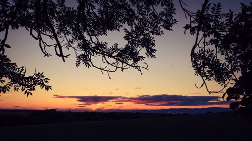 Silhouette trees on landscape against romantic sky at sunset