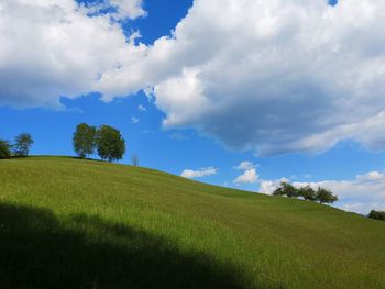 Scenic view of grassy field against sky