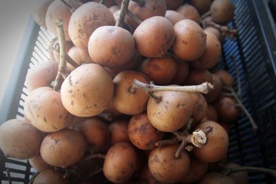 High angle view of fruits in basket