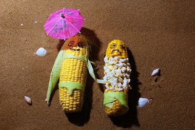 Corns with anthropomorphic faces on sandy beach