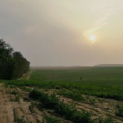 Scenic view of grassy field against sky at sunset