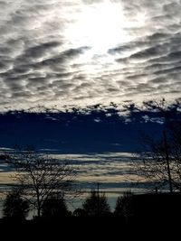 Low angle view of silhouette trees against sky at sunset