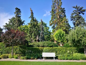 Park bench on field against sky