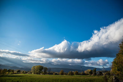 Scenic view of agricultural field against sky