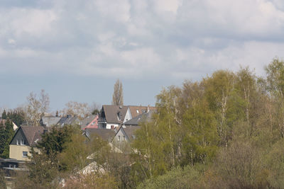 Trees and houses against sky