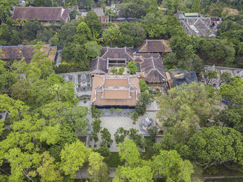 High angle view of trees and buildings