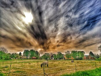 Scenic view of field against sky during sunset