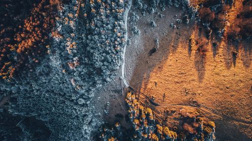 High angle view of rocks