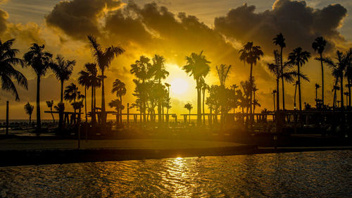 Silhouette palm trees by swimming pool against sky during sunset