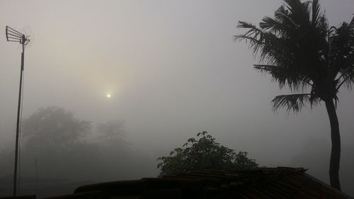 Scenic view of trees against clear sky