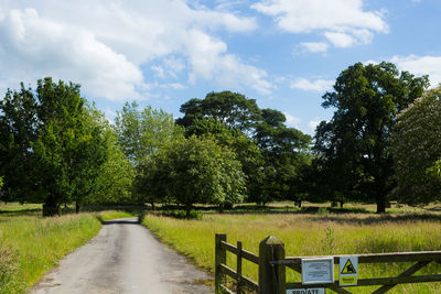 Scenic view of green landscape against sky