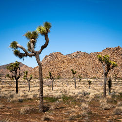 Scenic view of desert landscape.
