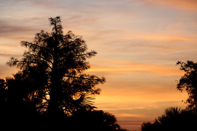 Low angle view of silhouette tree against sky during sunset