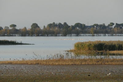 Scenic view of lake against clear sky