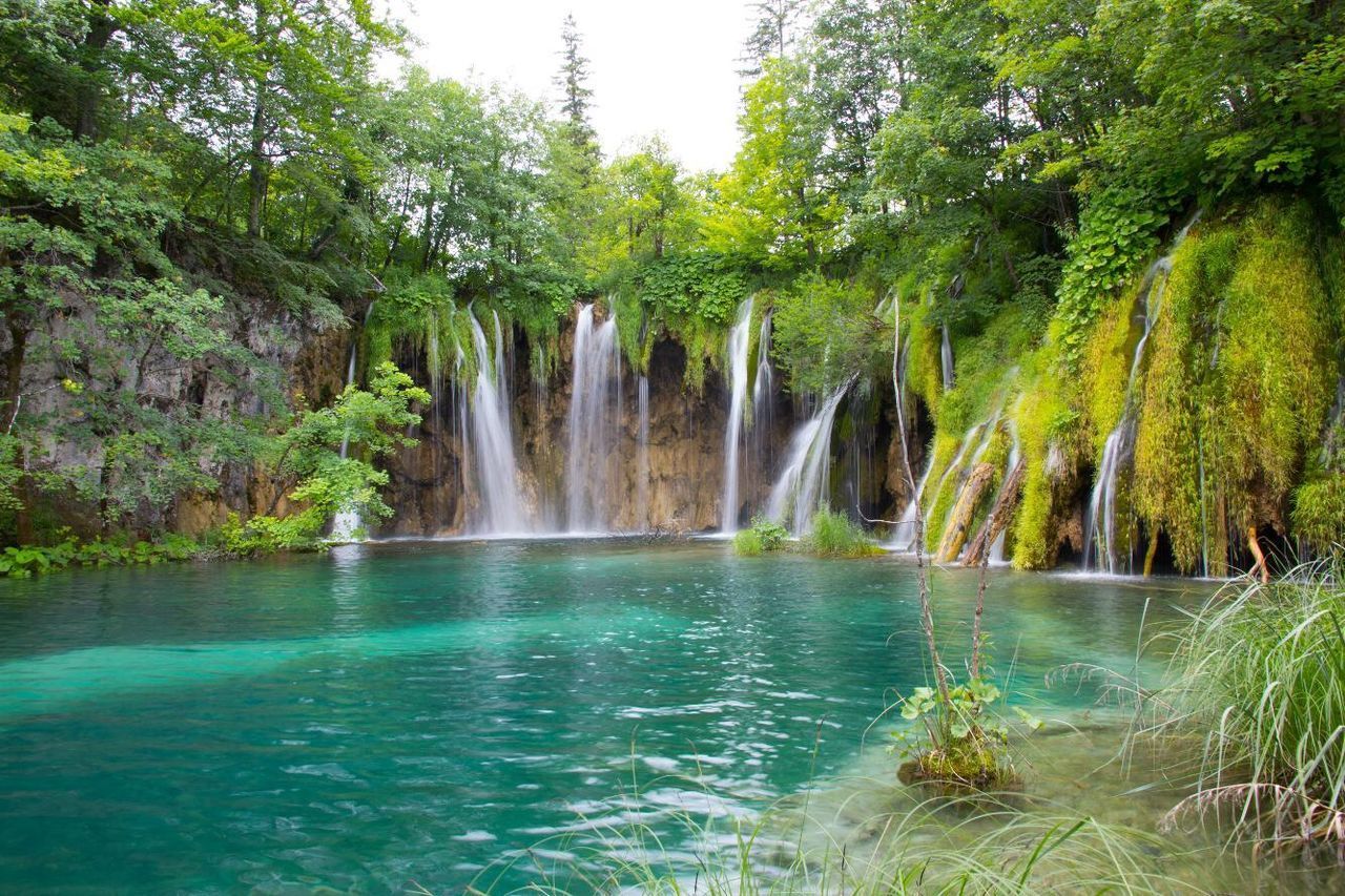 VIEW OF WATERFALL