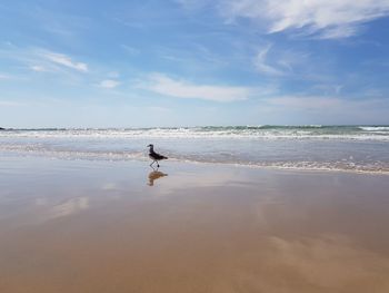 Man surfing in sea against sky