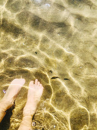 Low section of person legs in swimming pool