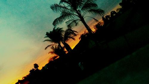 Silhouette trees against calm sea at sunset