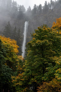 Scenic view of waterfall in forest during autumn