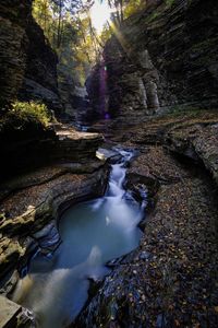 Stream flowing through rocks in forest