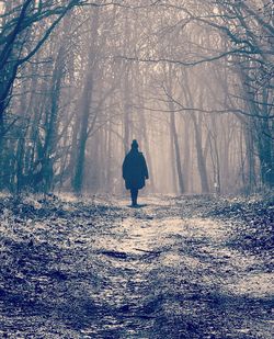 Rear view of man walking in forest during winter