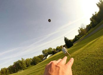 Cropped image of hand holding tree