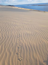 Footprints on sand at beach against sky