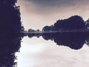 Reflection of trees in calm lake