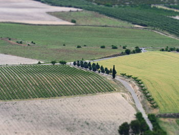 View with filter effect model, tilt shift, of the fields near fontanars dels aforins, valencia 