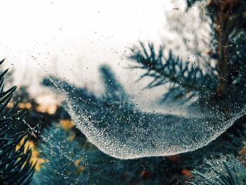 Close-up of wet glass window during winter