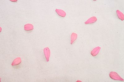 High angle view of rose petals on floor