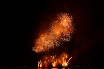 Firework display at night