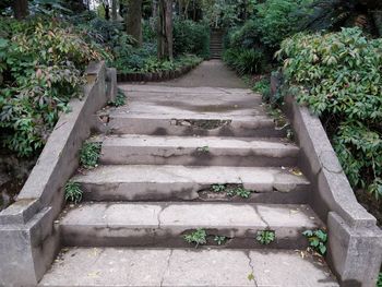 High angle view of steps amidst trees